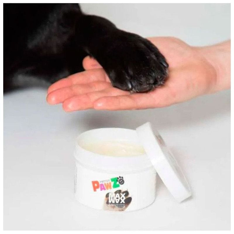 Chien marchant dans la neige avec des pattes saines après avoir utilisé la cire Pawz Maxwax pour pat