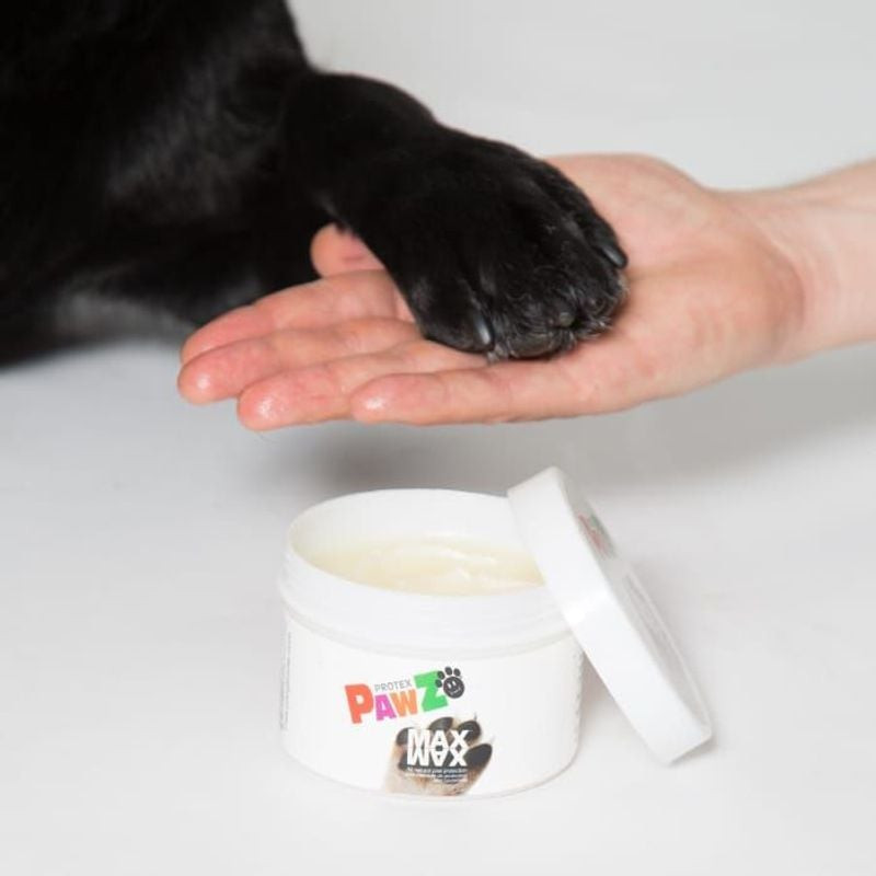 Photo lifestyle du Baume protecteur Pawz Maxwax Gloria pour pattes de chien 60g appliqué sur les cou