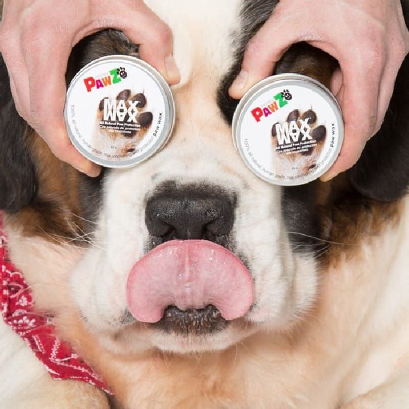 Chien assis à côté d'une boîte de cire Pawz Maxwax pour pattes, montrant l'utilisation du produit.