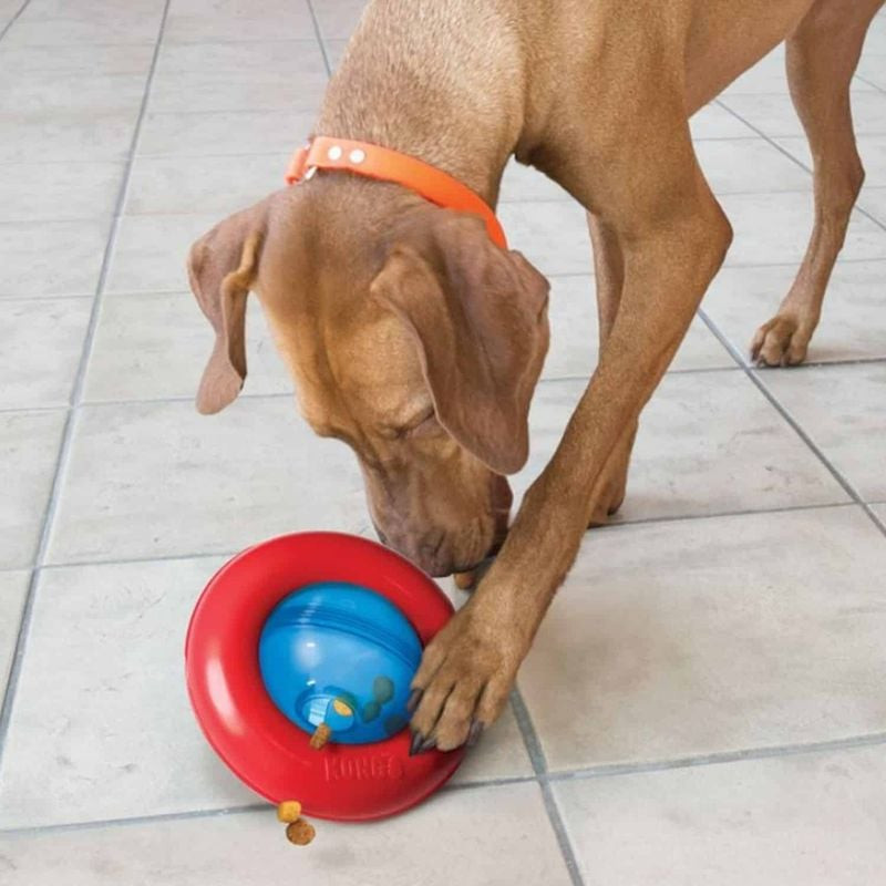 Jouet interactif distributeur de friandises KONG Gyro L pour chien posé sur un sol en bois, prêt à s
