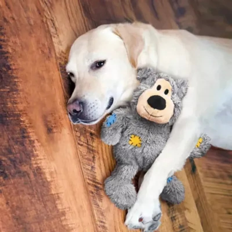 Petit chien câlinant le jouet en peluche KONG Wild Knots Bear sur un lit moelleux.