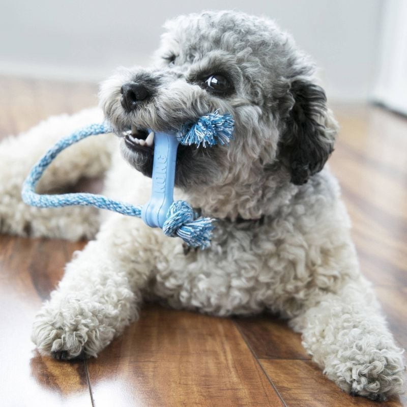 Chiot jouant avec le KONG Goodie Bone XS, mâchonnant le caoutchouc souple tandis que la corde pend d