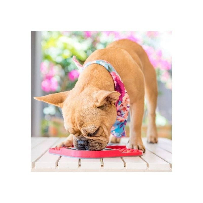 Un chien lèche le tapis LickiMat Slomo Pink, profitant du distributeur de friandises à léchage lent.