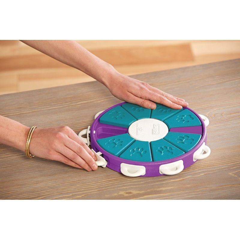 Chien jouant avec le jeu de puzzle Dog Twister de Nina Ottosson sur le sol, manipulant les panneaux 