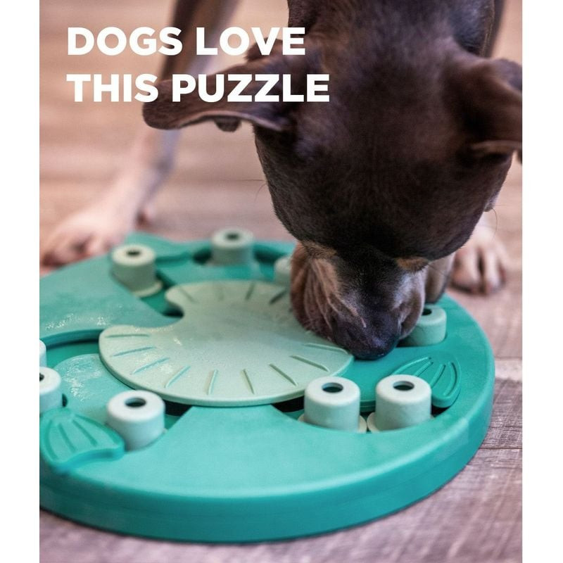 Un chien reniflant et grattant le puzzle Nina Ottosson Dog Worker sur un plancher en bois, découvran