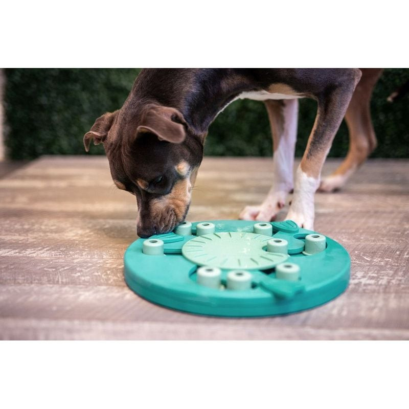 Gros plan du nez et des pattes d'un chien interagissant avec les blocs coulissants du puzzle Nina Ot