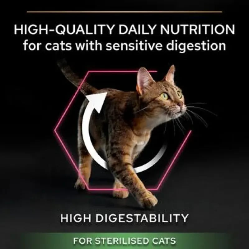 Chat mangeant des croquettes Pro Plan dans un bol dans une cuisine.