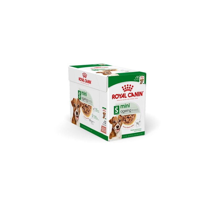 Petit chien senior appréciant Royal Canin Mini Ageing 12+ Morceaux en Sauce dans une gamelle.