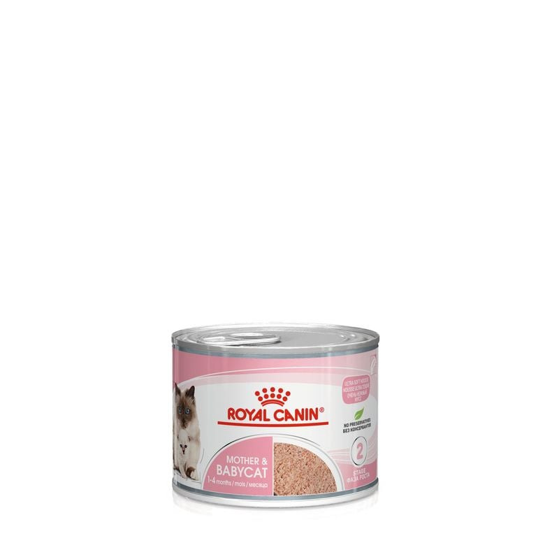 Packshot du produit alimentaire pour chats Royal Canin 1967582, aliment complet pour chattes mères e