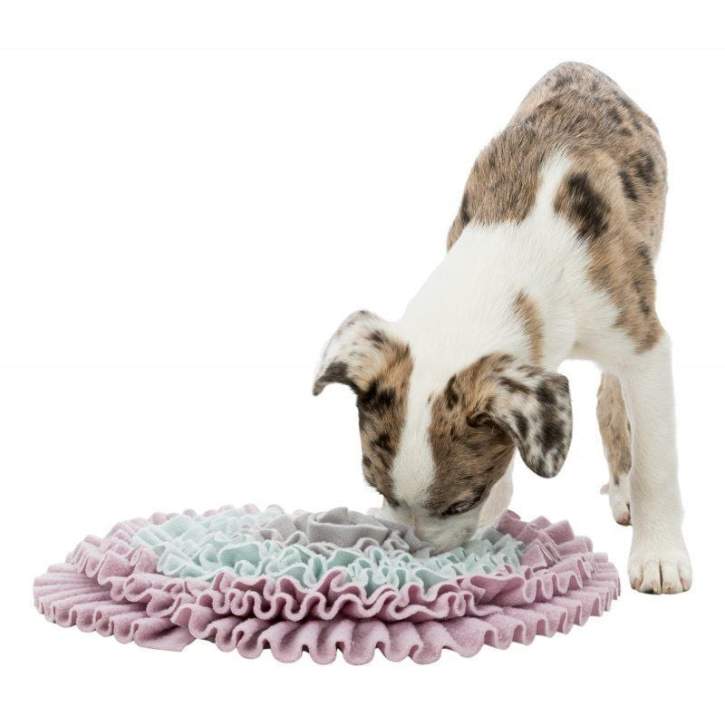 Chiot utilisant le tapis à renifler Trixie Junior pour chercher des friandises cachées dans un envir