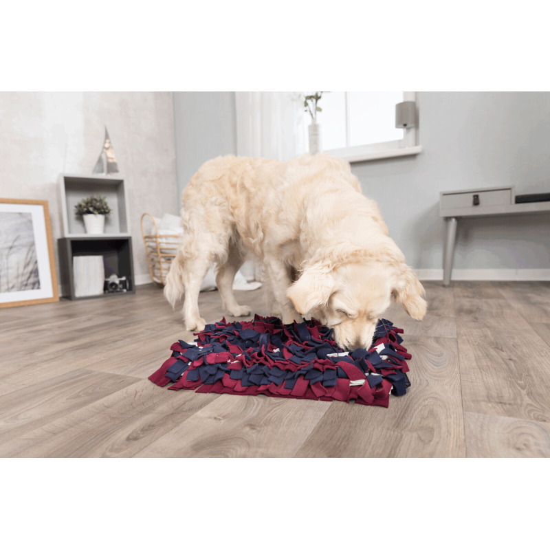 A dog using the Trixie Strategy Snuffle Mat in a living room, sniffing for treats hidden in the frin