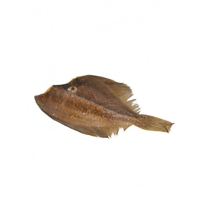 Gros plan de la friandise VADIGRAN à la plie séchée montrant la texture du poisson.